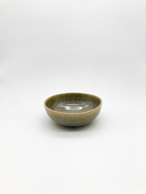 Bowl Salsero